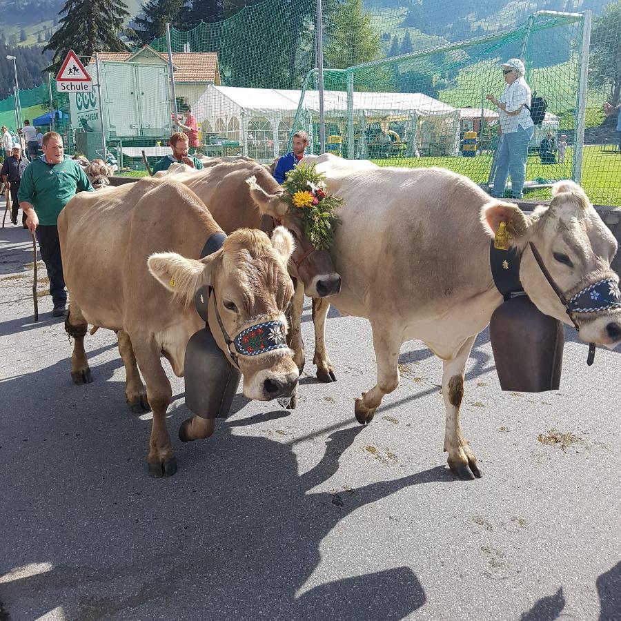 Hotel Staetzerhorn Parpan Bagian luar foto
