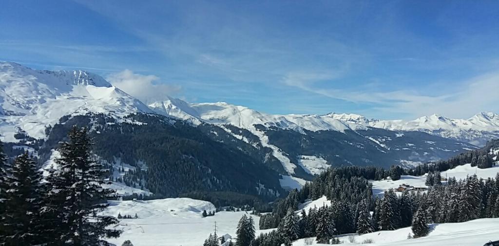 Hotel Staetzerhorn Parpan Bagian luar foto